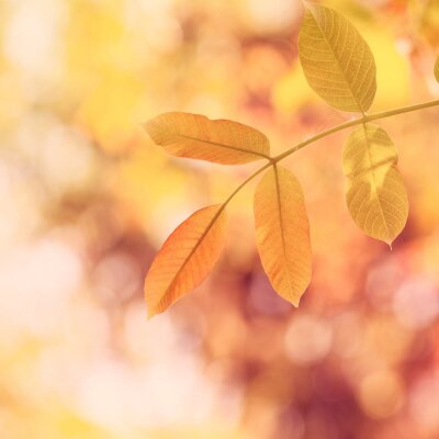 Natuur in warme kleuren