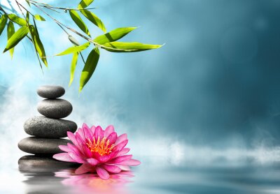 Fotobehang Natuur met stenen en waterlelie