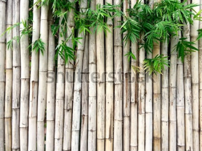 Sticker Natuurlijke Bamboeachtergrond