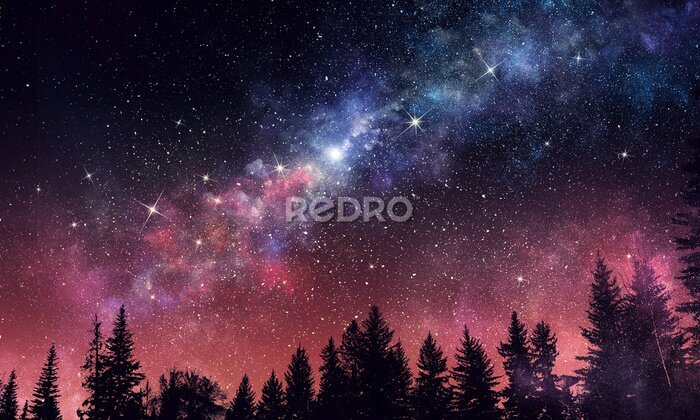 Sticker Nevel en nachtelijke hemel boven het naaldbos