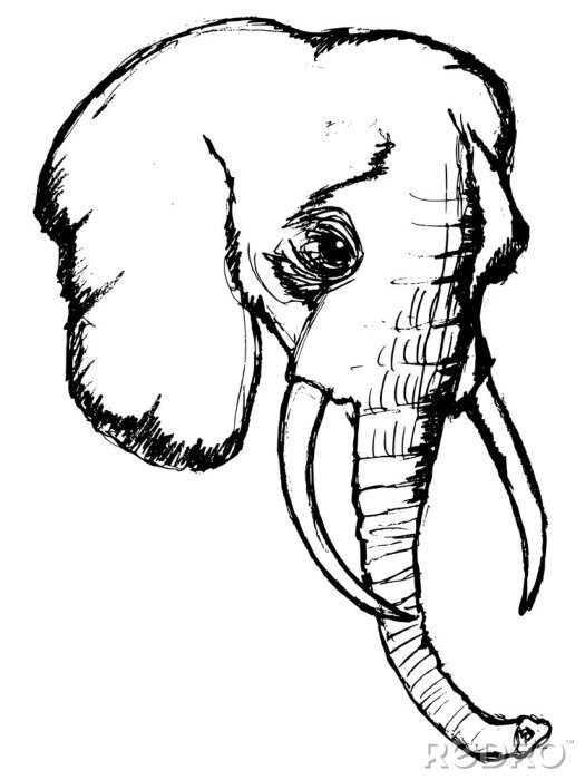 Sticker olifant, illustratie van wilde dieren, dierentuin, dier savanne, Afr