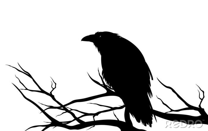 Sticker ominous raven sitting on a bare tree branch - black crow bird halloween theme vector silhouette design