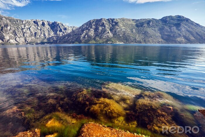 Sticker Onderwaterplanten en bergen