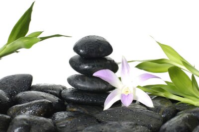 Sticker Oosterse spa - roze orchidee, bamboe stengel in het water daalt