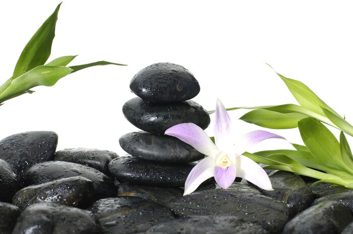 Sticker Oosterse spa - roze orchidee, bamboe stengel in het water daalt