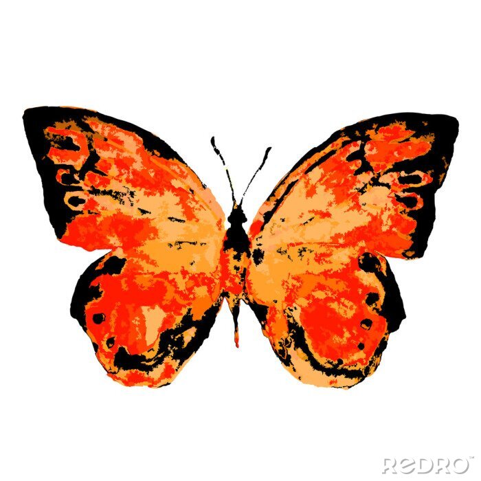 Sticker Oranje vlinder op witte achtergrond
