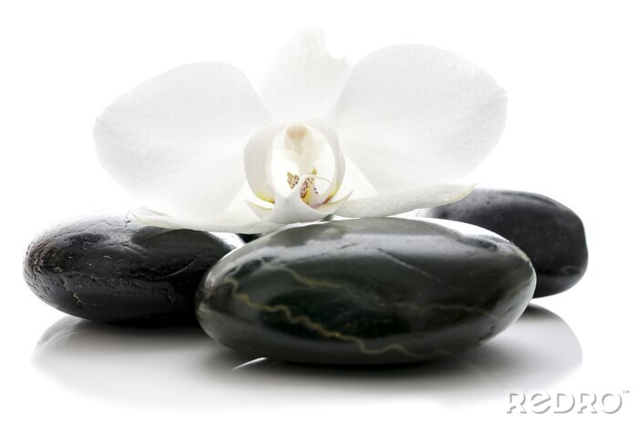 Sticker Orchidee bloem op zen stenen