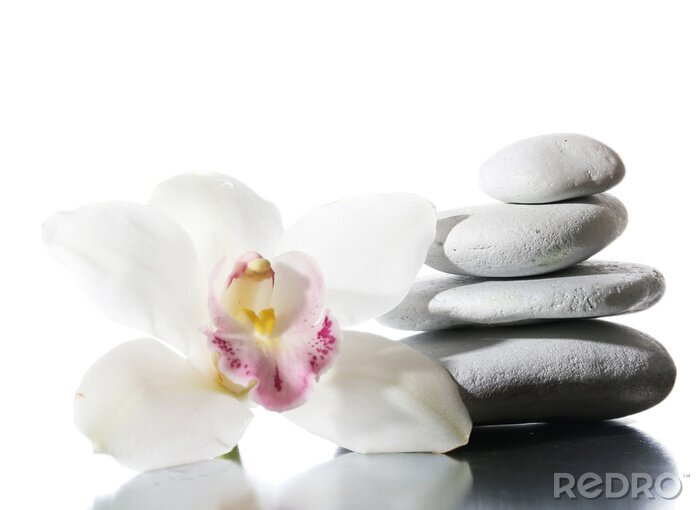 Sticker Orchidee met grijze stenen