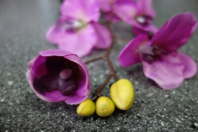 Sticker Orchidee met knoppen op een steen