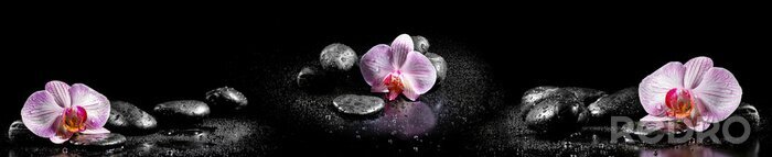 Sticker Orchidee stenen en waterdruppels