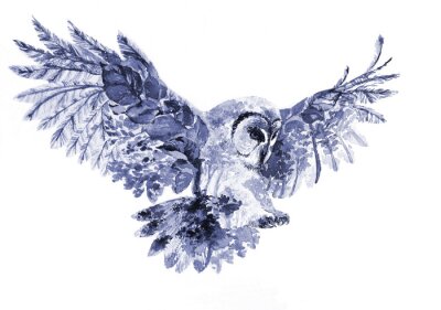 Owl, forest, watercolor illustration on white background