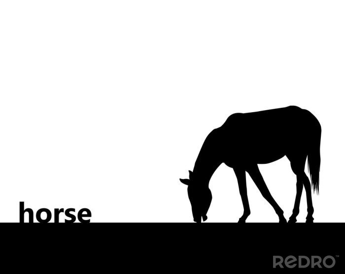 Sticker Paarden zwart silhouet van een paard met verlaagd hoofd