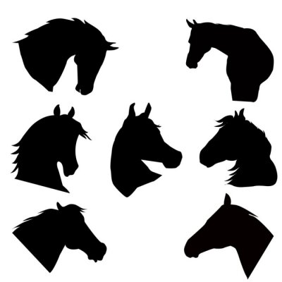 Sticker Paardenkop