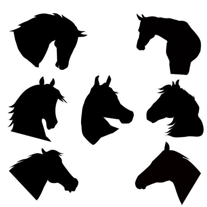Sticker Paardenkop