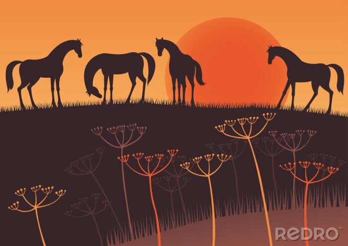 Sticker Paardensilhouetten en afbeeldingen van de ondergaande zon