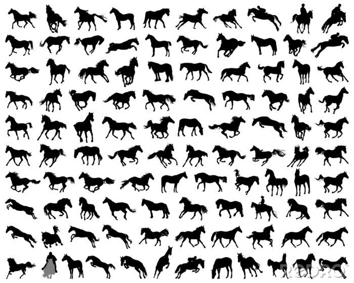 Sticker Paardensilhouetten in verschillende grafische poses