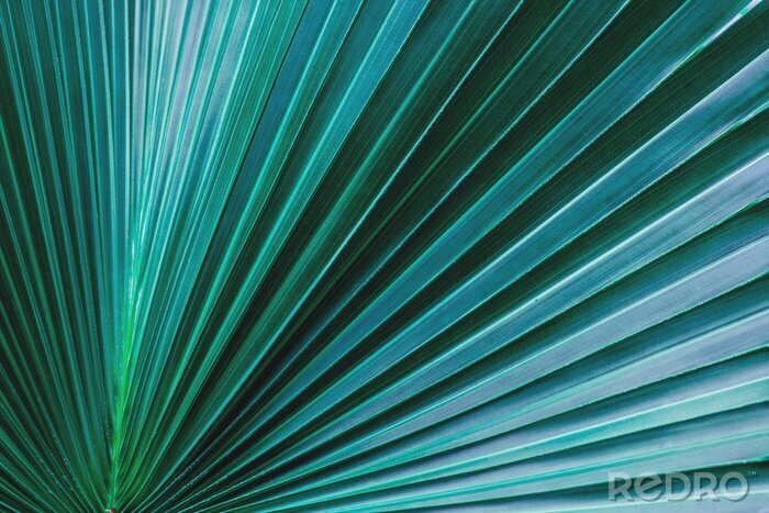 Sticker Palmblad in 3D