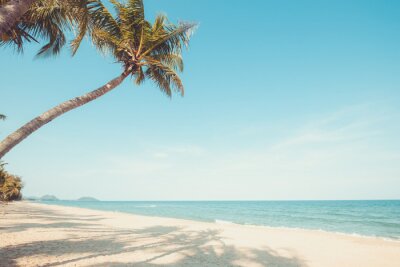 Palmbomen op een grenzeloze oceaan