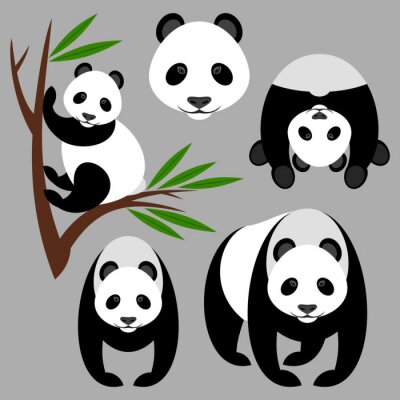 Sticker Panda