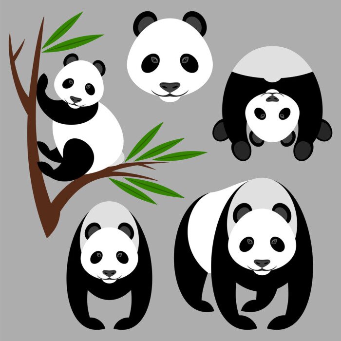 Sticker Panda