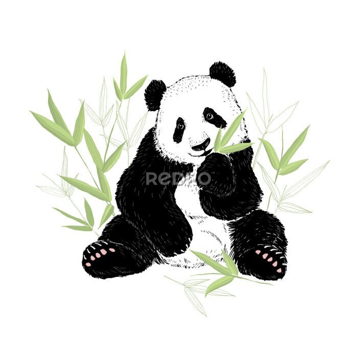 Sticker Panda beer eet bamboe bladeren