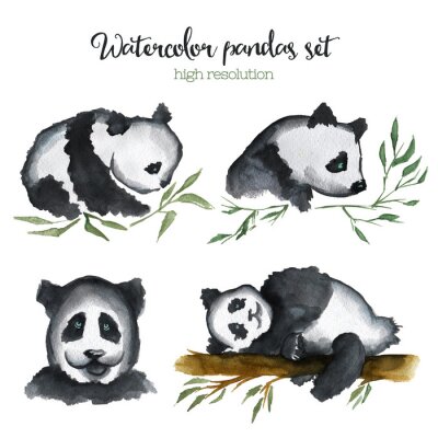 Panda geschilderd met waterverf