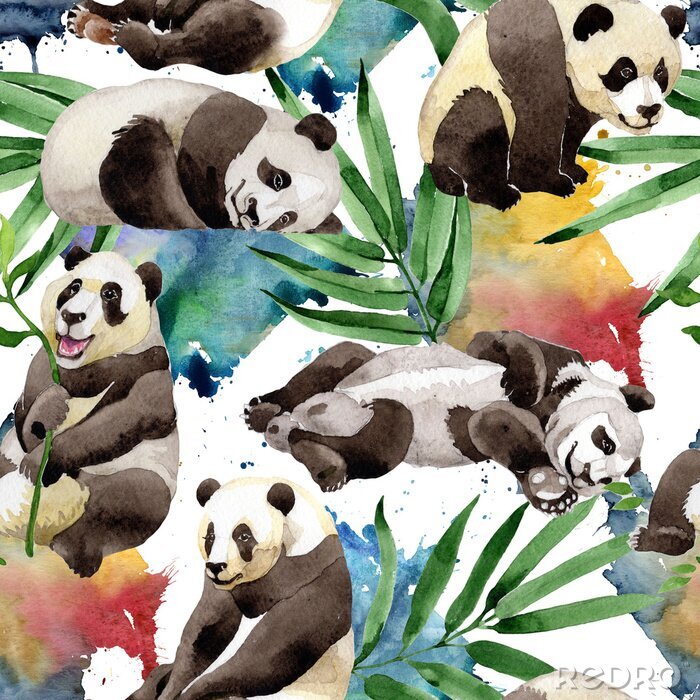Sticker Panda's en groene bladeren op een aquarel achtergrond