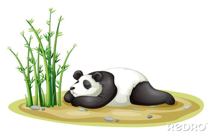 Sticker Panda slaapt naast groene bamboescheuten