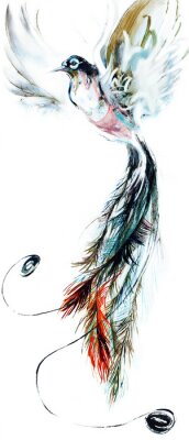 Sticker Paradijsvogel in vlucht