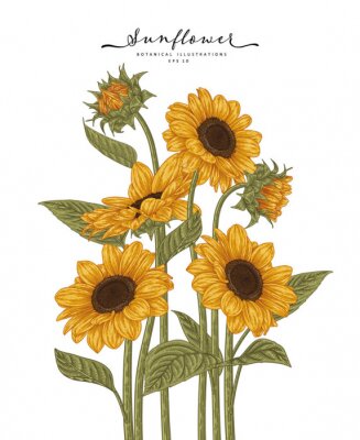 Pastelkleurige zonnebloemen in tekenstijl