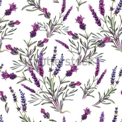 Sticker Patroon met lavendel op een witte achtergrond