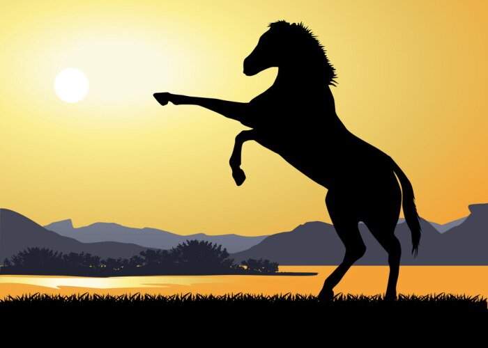 Sticker Paysage_Cheval Cabre