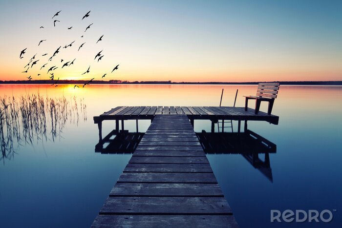 Sticker Pier op een kalm meer