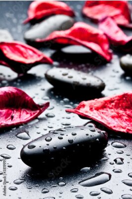 Sticker pietra nera con gocce d'acqua e Petali rossi