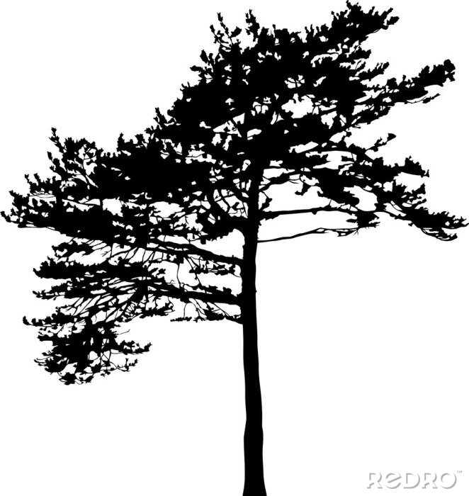 Sticker pijnboom zwart silhouet illustratie