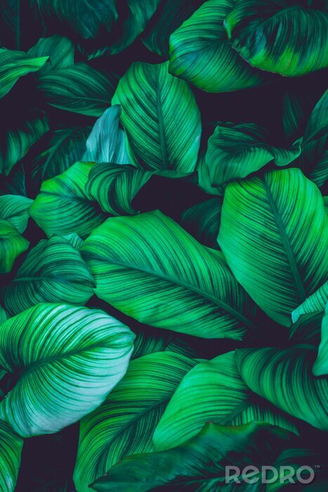 Sticker Plantaardige groene achtergrond