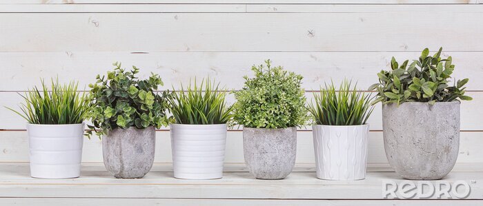 Sticker Planten in heldere potten