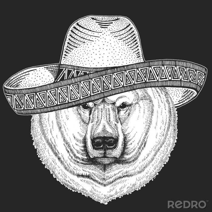 Sticker Polar bear portrait. Sombrero is traditional mexican hat. Mexico. Head of wild animal