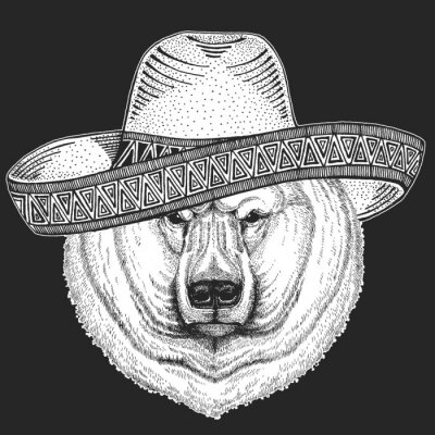 Sticker Polar bear portrait. Sombrero is traditional mexican hat. Mexico. Head of wild animal