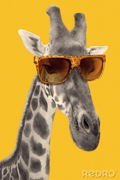 Sticker Portrait of a giraffe with hipster sunglasses