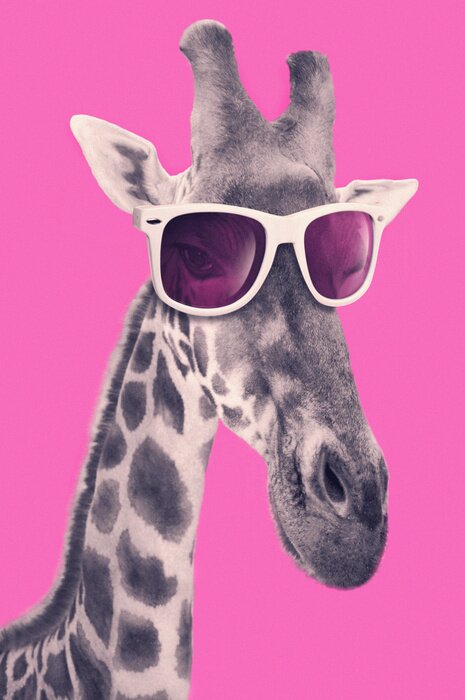 Sticker Portrait of a giraffe with hipster sunglasses
