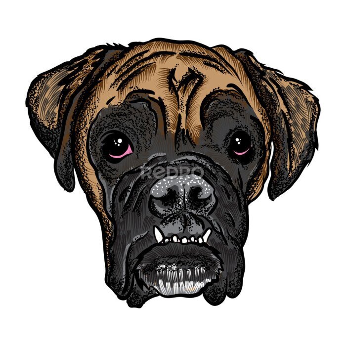 Sticker Portret van Boxer puppy. Hand getekende hond illustratie. T-shirt en tattoo concept ontwerp. Vector.