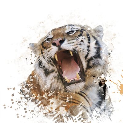 Sticker Portret van een brullende tijger