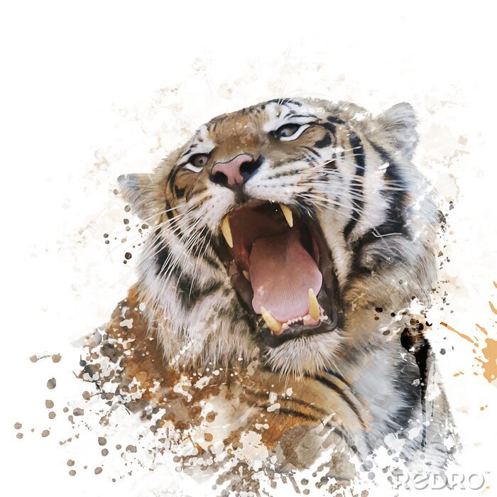 Sticker Portret van een brullende tijger