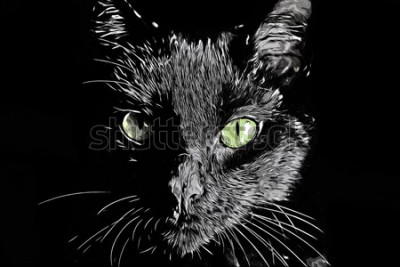 Sticker Portret van een kat met glanzende vacht