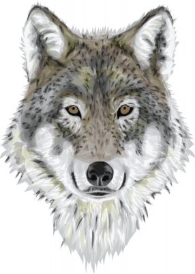 Sticker Realistic Vector Wolf