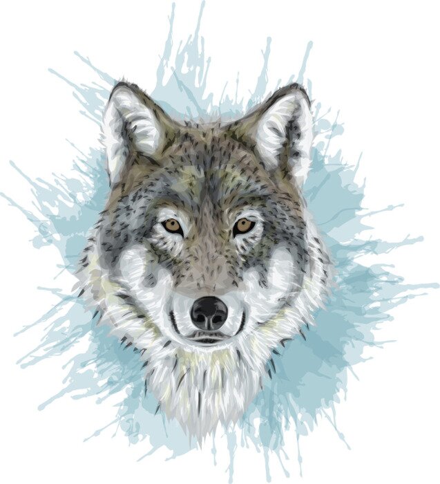 Sticker Realistic Vector Wolf - Stylized art