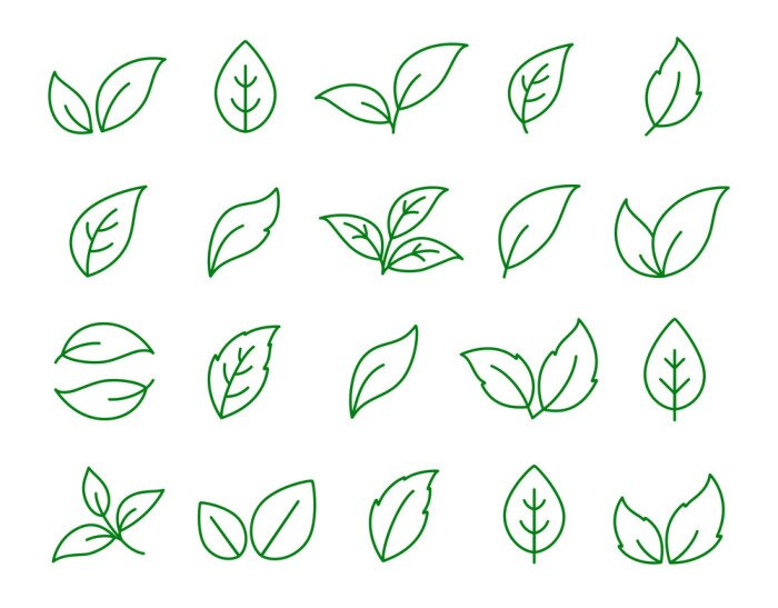 Sticker reeks lineaire groene bladpictogrammen op wit