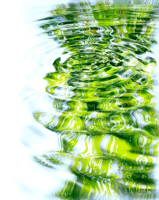 Sticker Reflectie van het bos en de zon in het water.