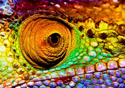 Sticker Reptilian oog